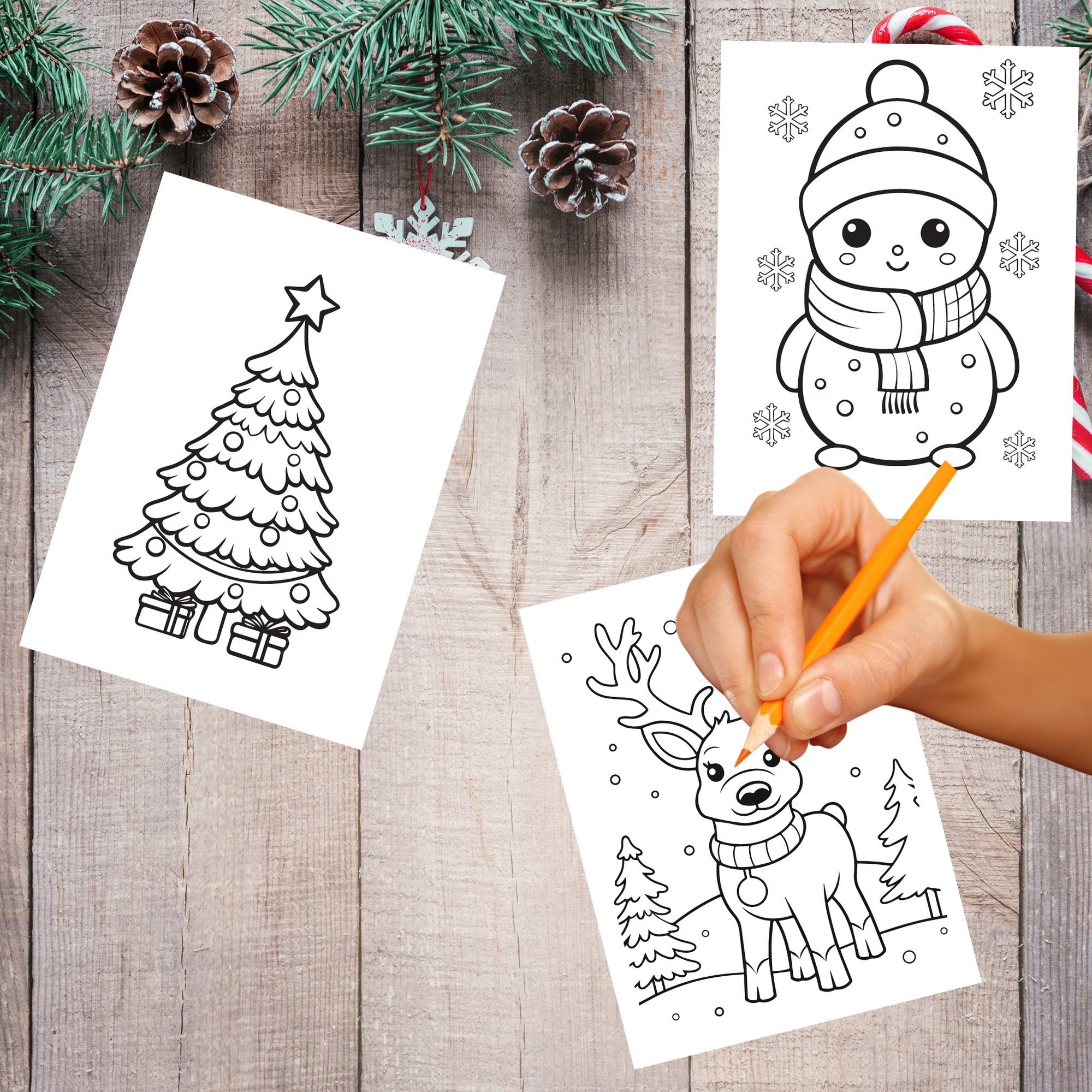 Experience 12 Days of Christmas Activity Downloads for FREE!