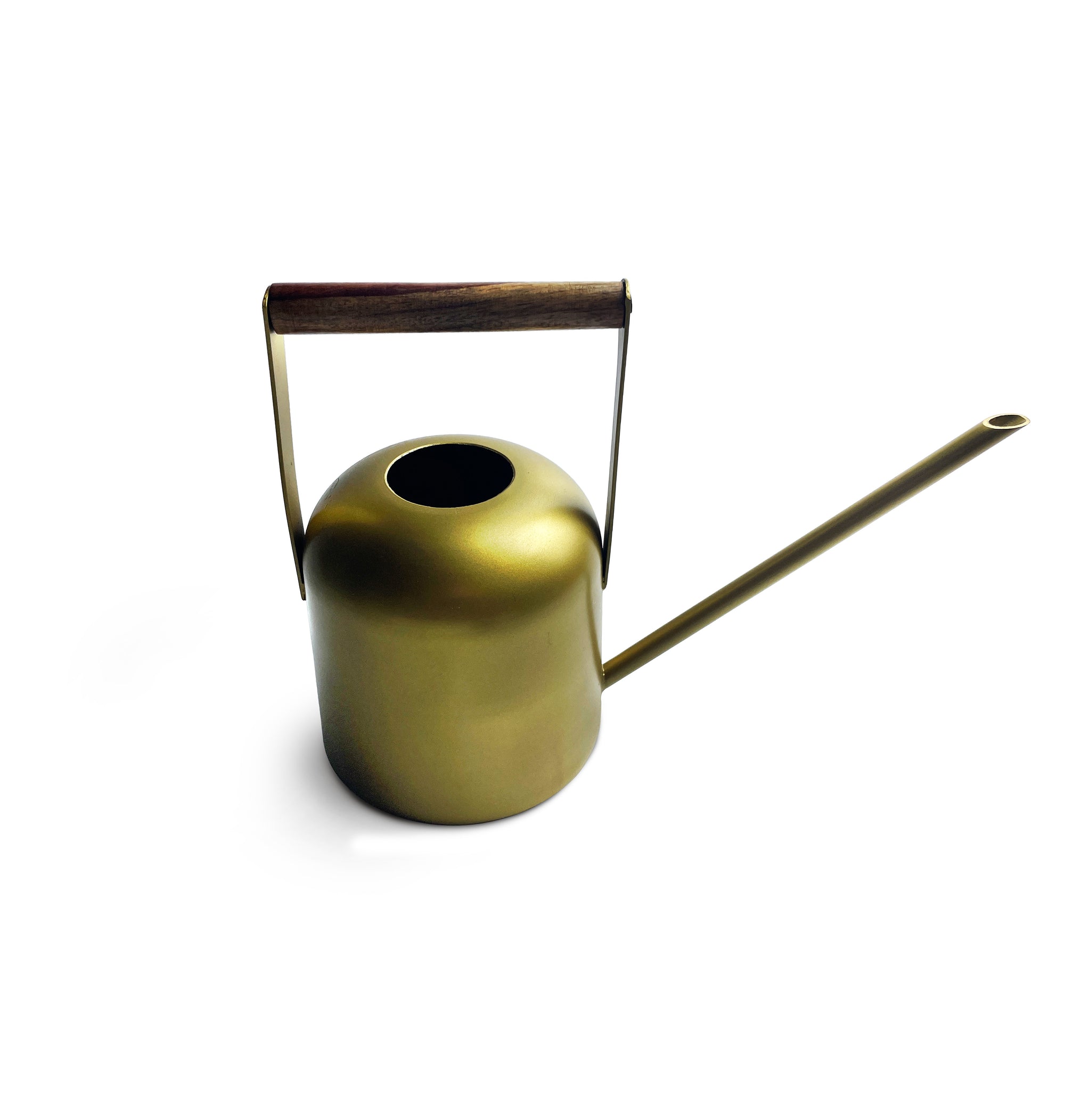 Ard Metal Watering Can With Wooden Handle, Gold -  1 Litre
