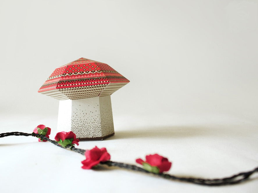 DIY KIT Mushroom Box | Gift Box