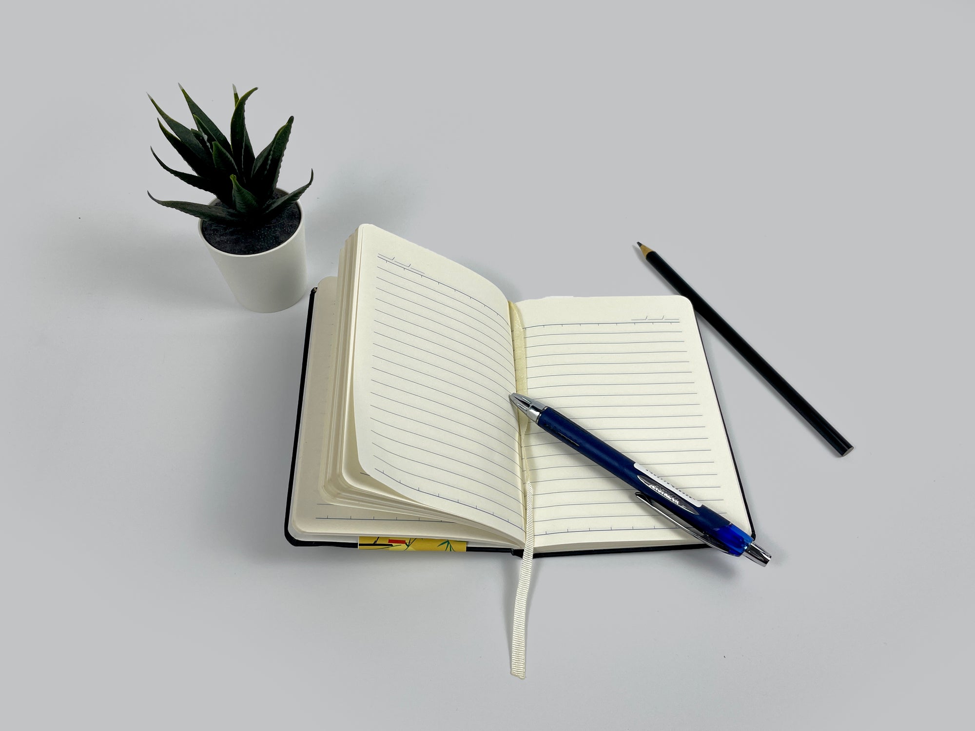 Kiyome SHIKO Notebook | Matte Hard Cover | 80 GSM | A6 | 160 Ruled Pages